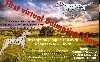  - First Virtual Dalmatian Show <3