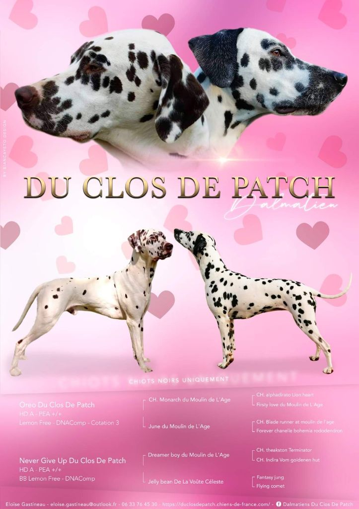 Du Clos De Patch - Information réservations :) 