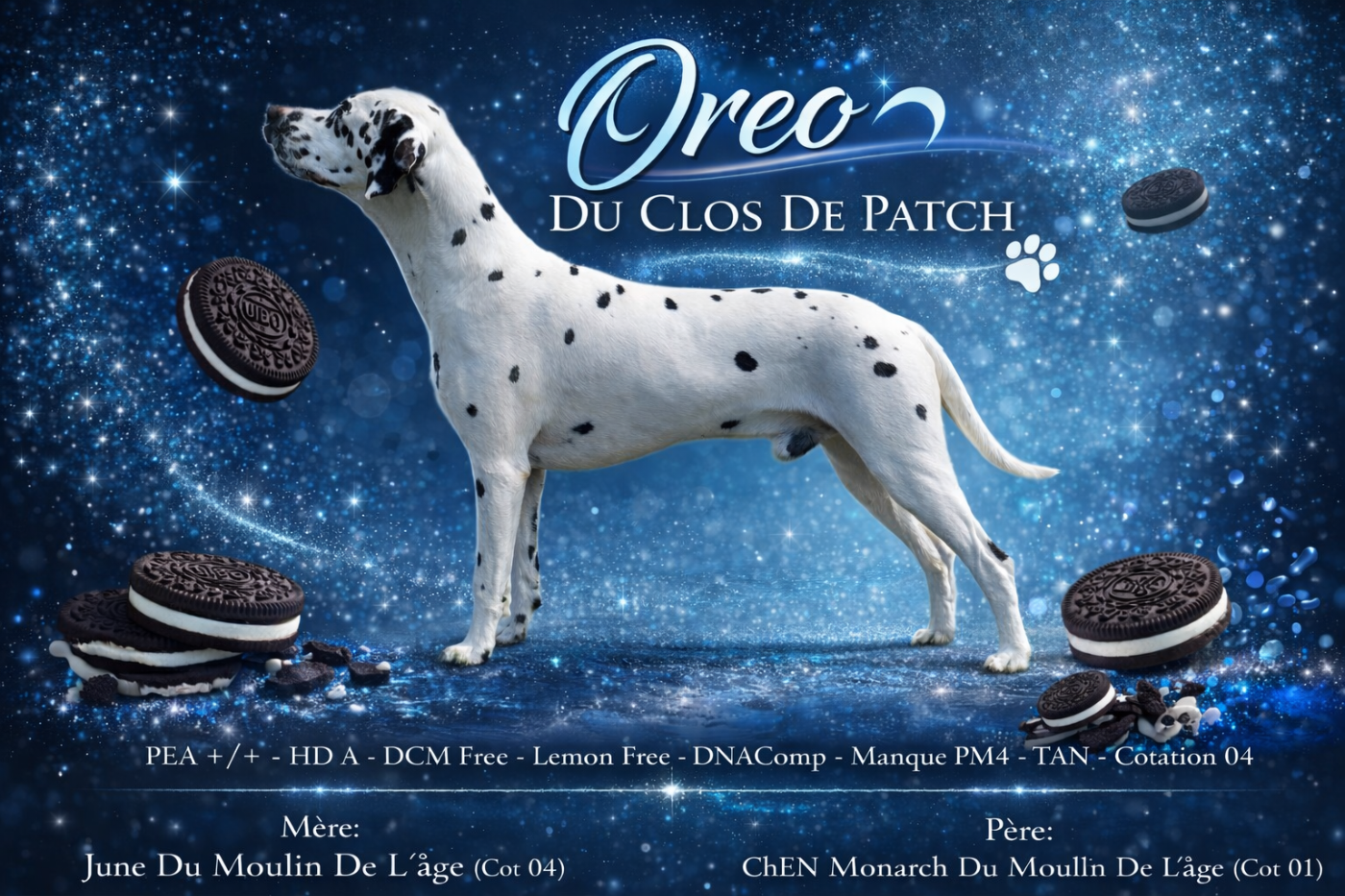 Oreo Du Clos De Patch