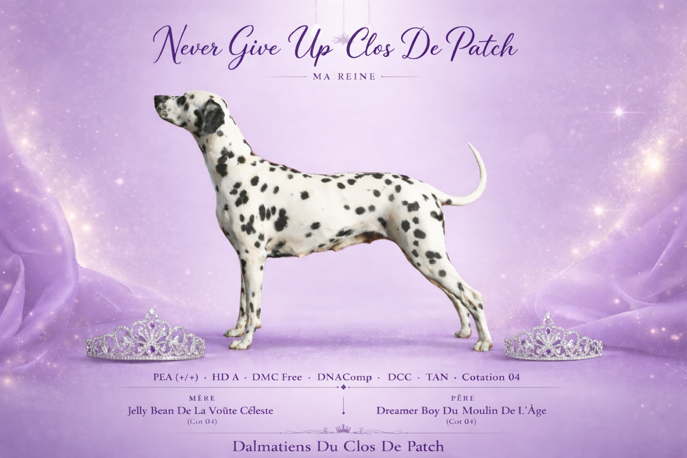 Never give up Du Clos De Patch