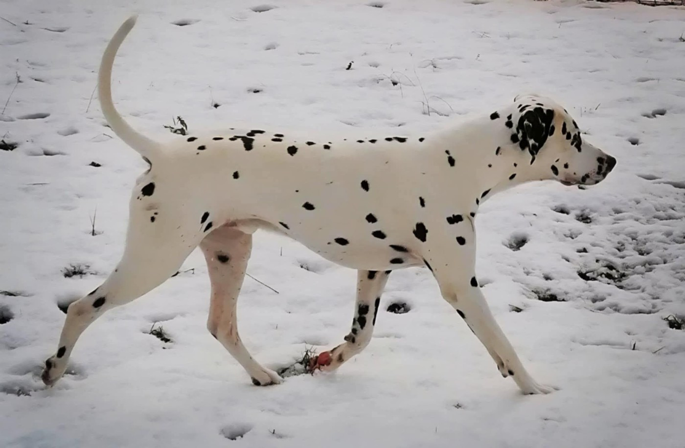 Bilan Exposition 2025 Oreo