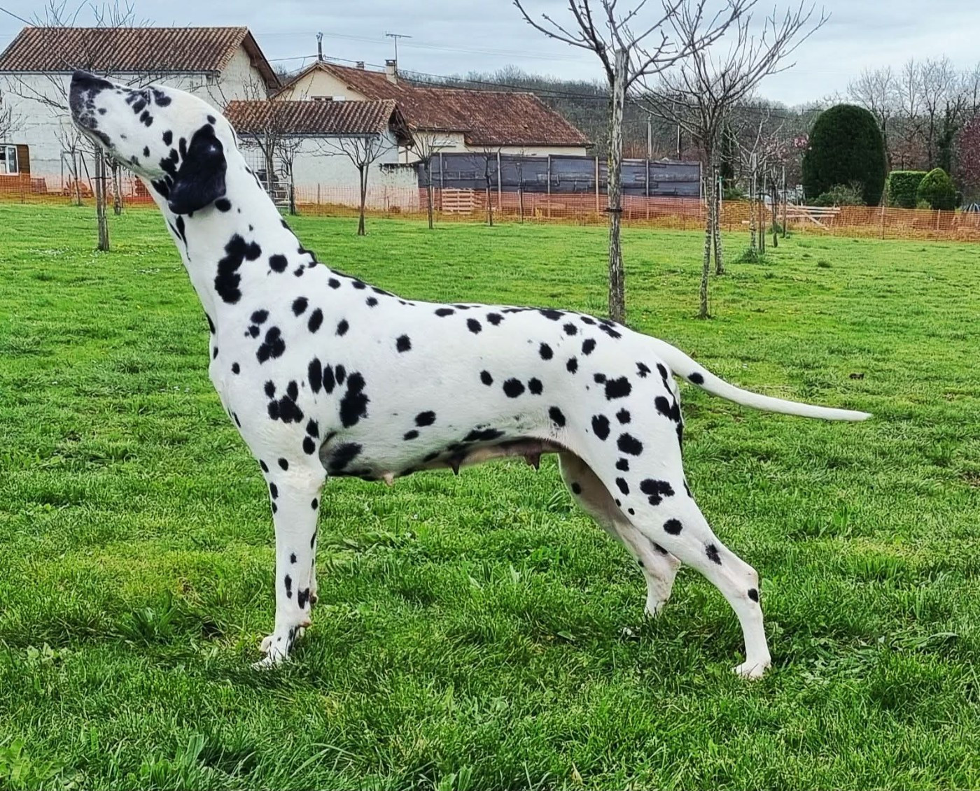 Bilan Exposition 2025 Never Give Up