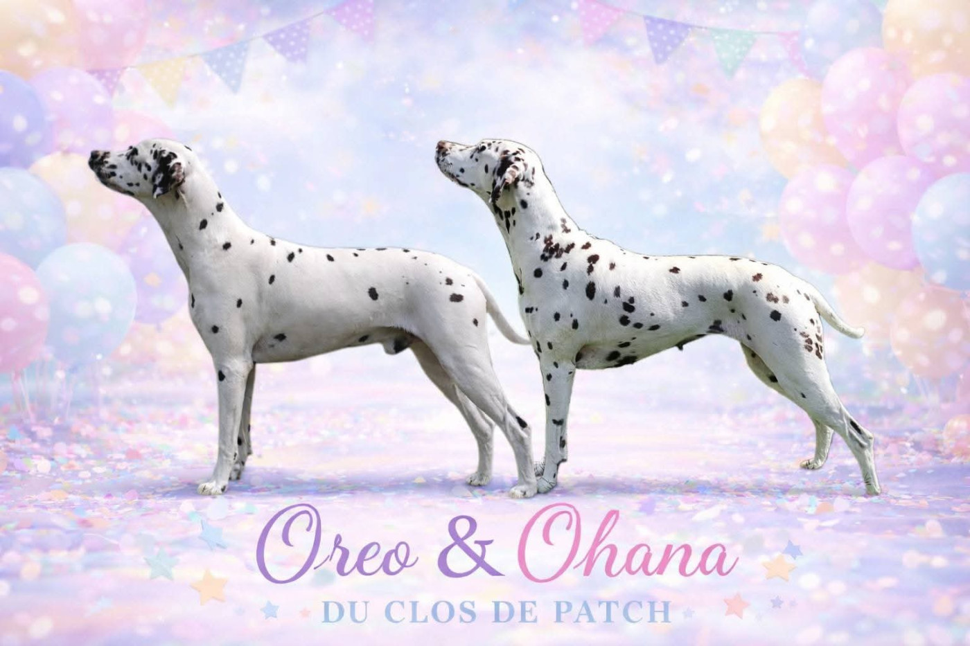 Anniversaire des Bébés O ❤ 